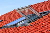 Aylworth roof window